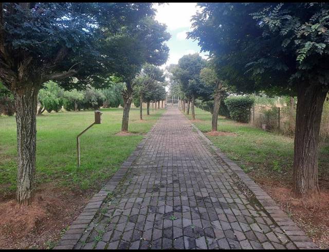 FARM FOR SALE IN IRONSIDE